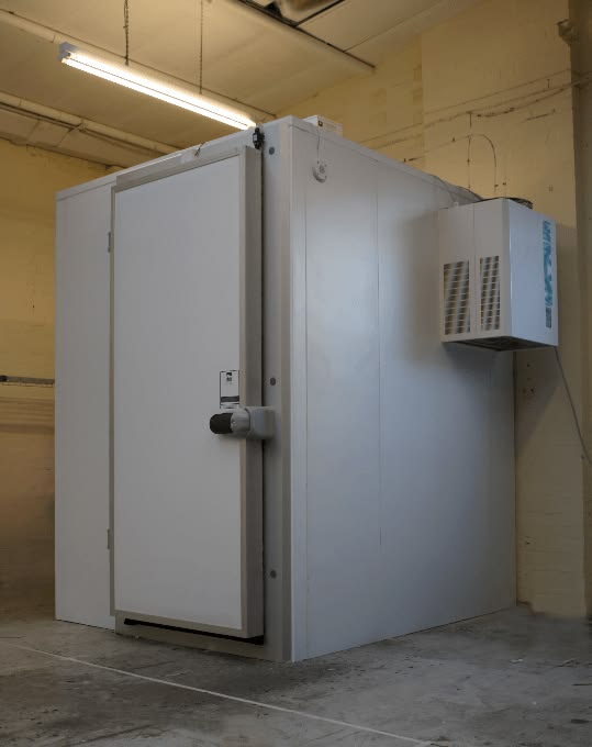 Coldroom door   